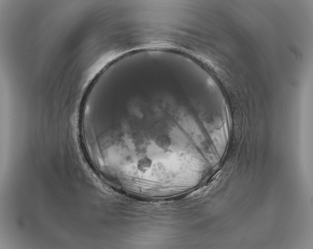 X0000112931422200909211104