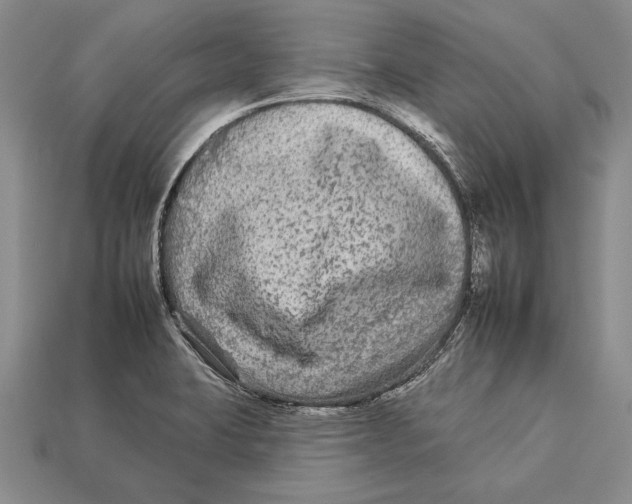 X0000112931423200909211104