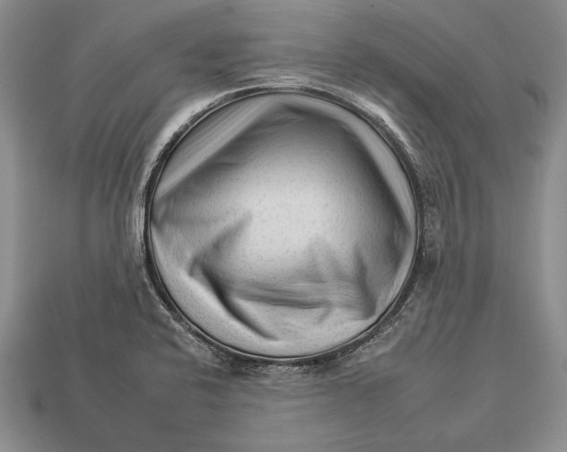 X0000112931424200909211104