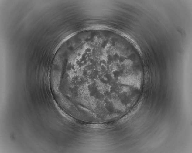 X0000112931425200909211104