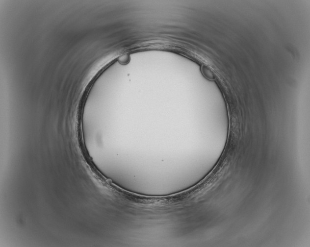 X0000112931426200909211104