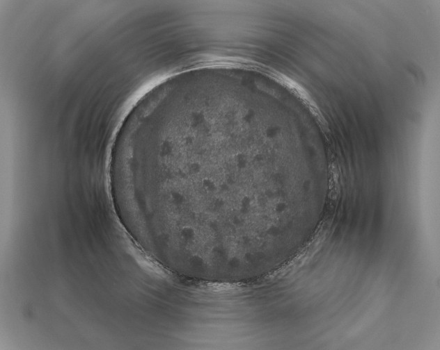 X0000112931427200909211104