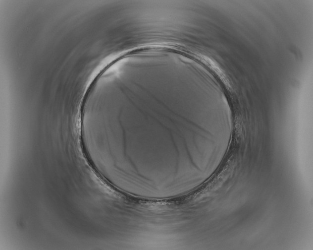 X0000112931428200909211104