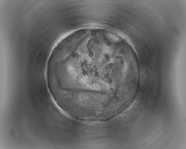 X0000112931429200909211104