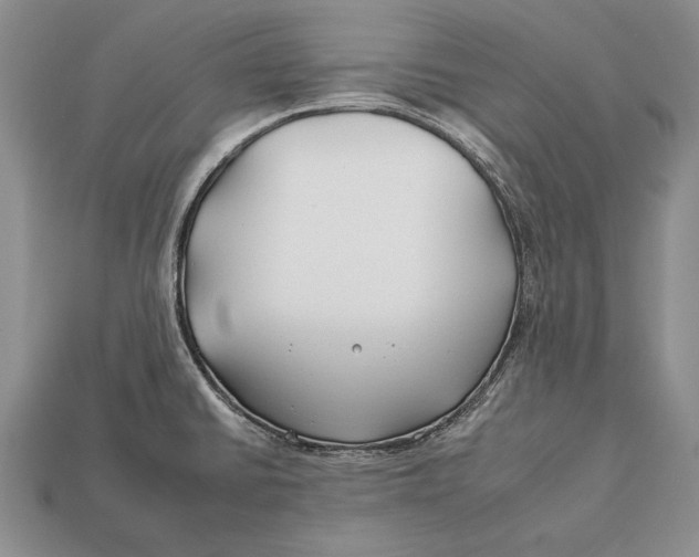 X0000112931430200909211104