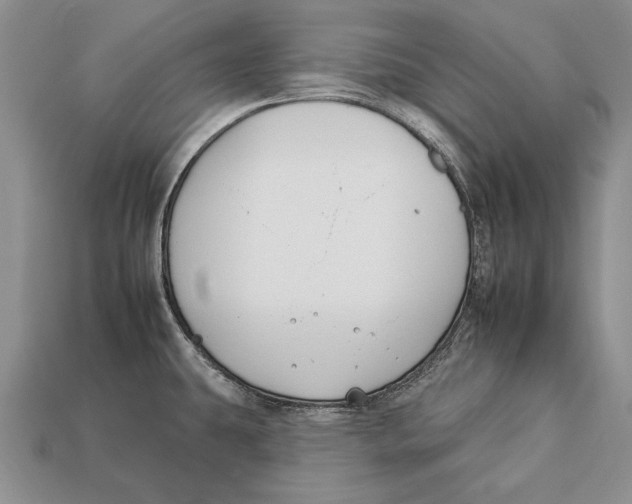 X0000112931431200909211105