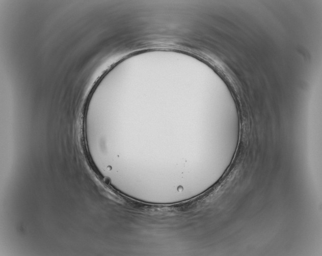 X0000112931432200909211105