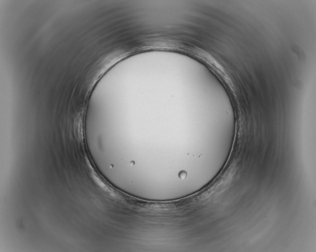 X0000112931433200909211105