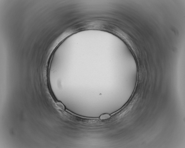 X0000112931434200909211105
