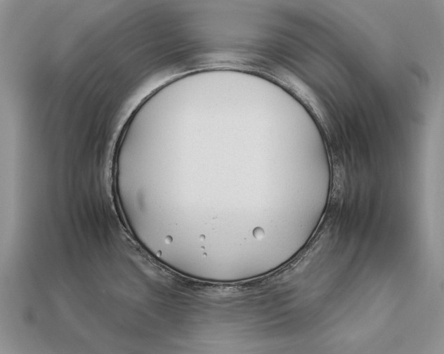 X0000112931435200909211105