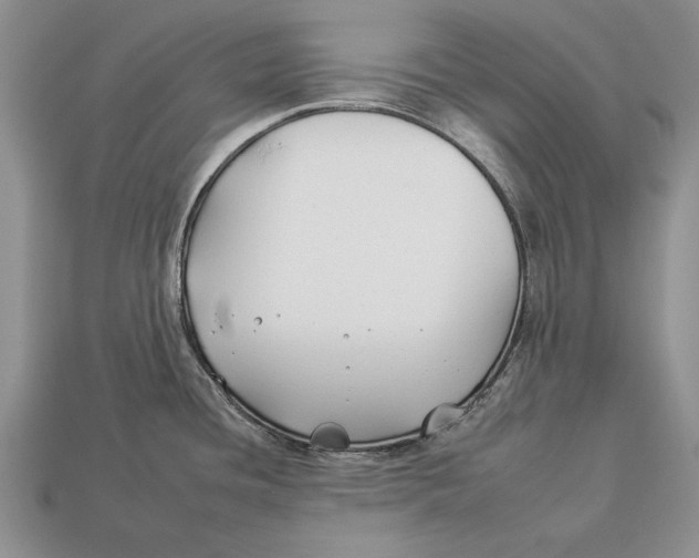 X0000112931436200909211105