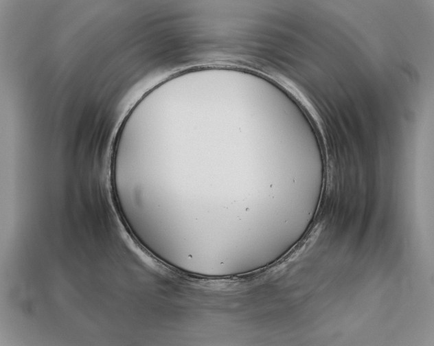 X0000112931437200909211105
