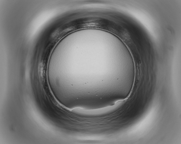 X0000112931438200909211105