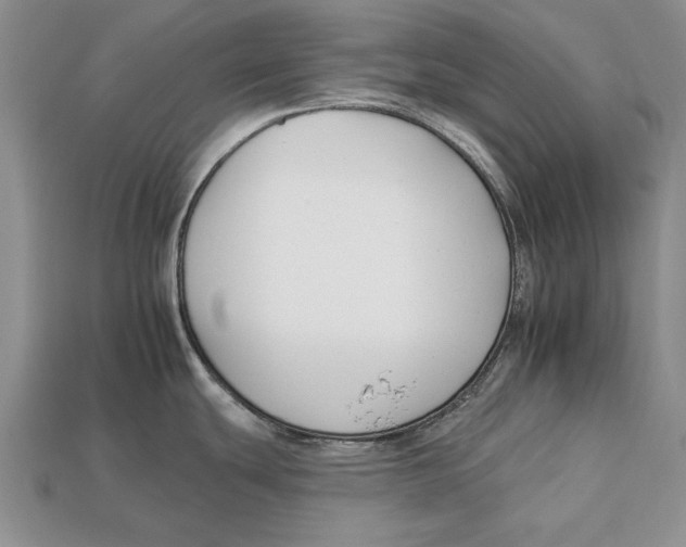 X0000112931439200909211105