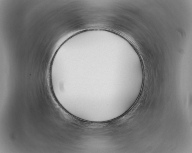 X0000112931440200909211105