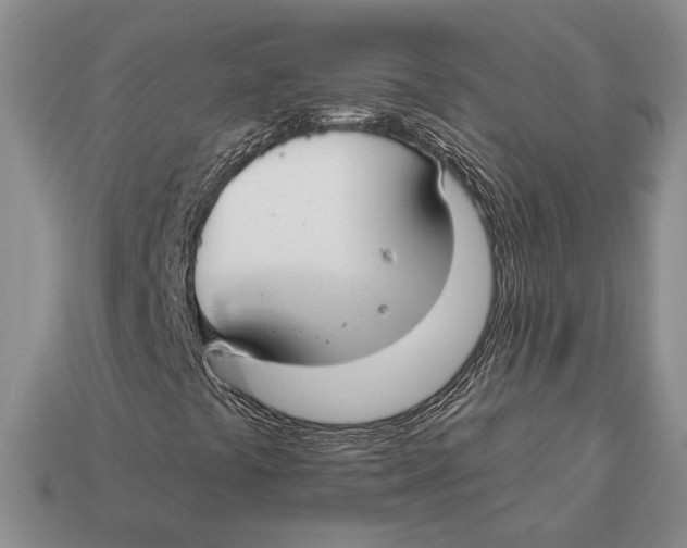 X0000112931441200909211104