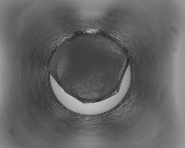 X0000112931443200909211104