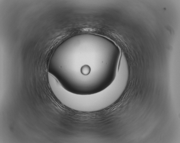 X0000112931444200909211104