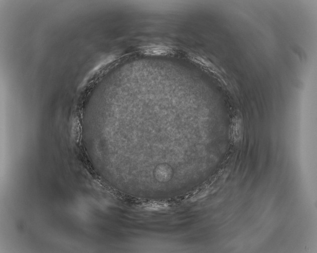 X0000112931446200909211104