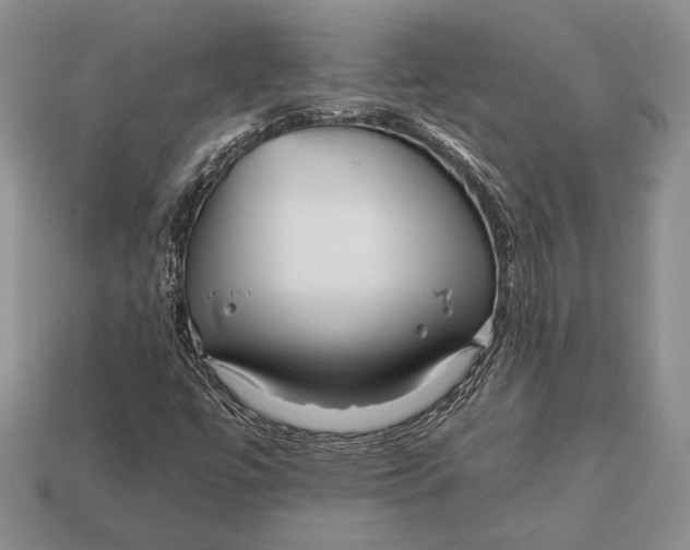 X0000112931447200909211104