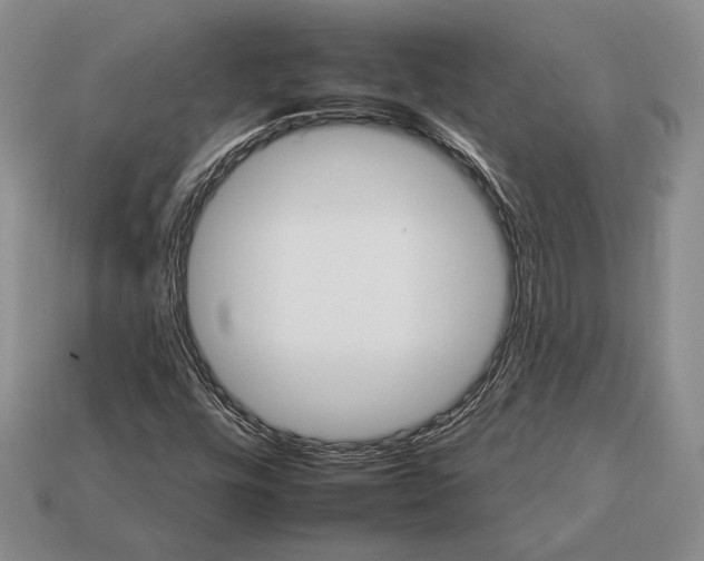 X0000112931448200909211104