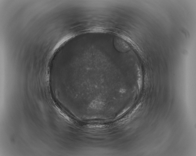 X0000112931450200909211104