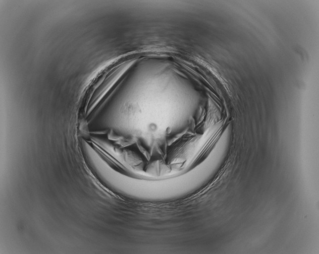 X0000112931452200909211104