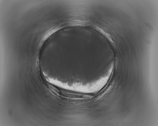 X0000112931453200909211104