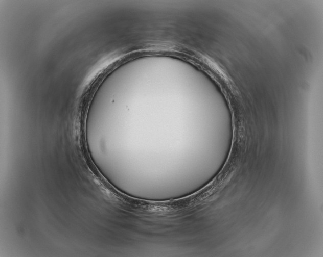 X0000112931456200909211104