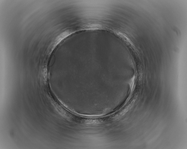 X0000112931457200909211104