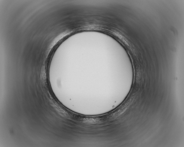 X0000112931458200909211104