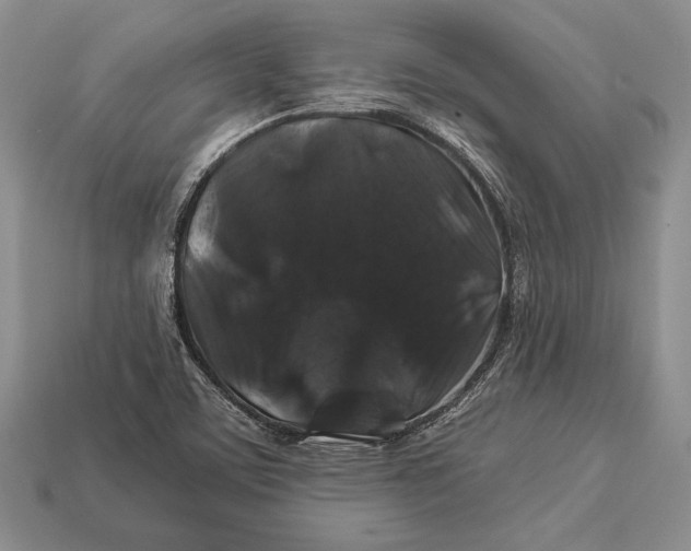 X0000112931459200909211104