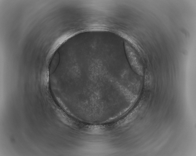 X0000112931461200909211104