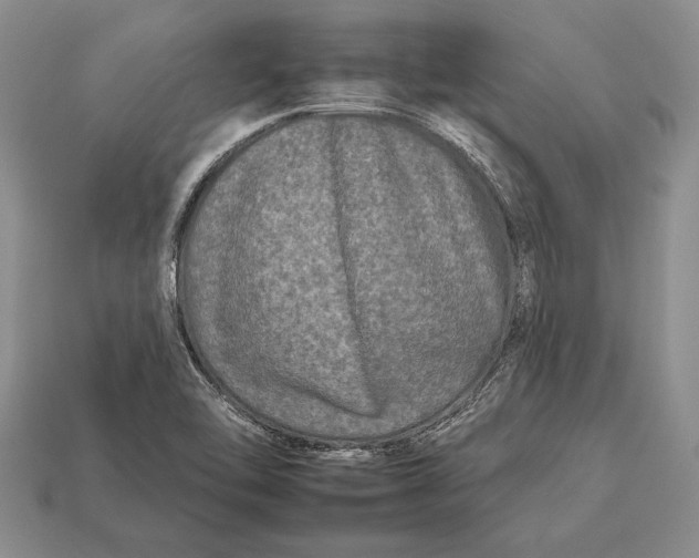 X0000112931462200909211104