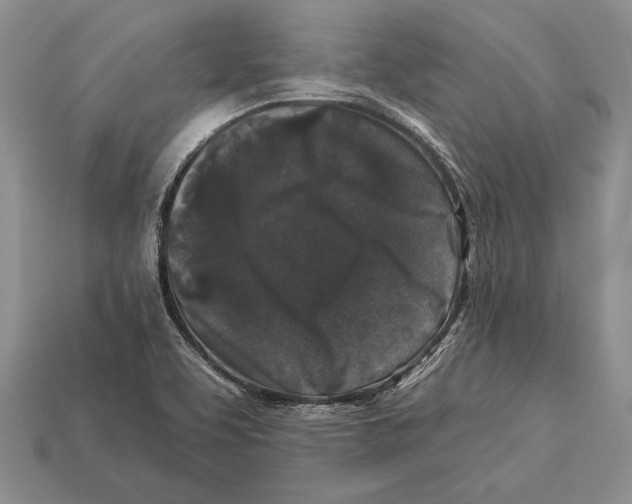 X0000112931463200909211104