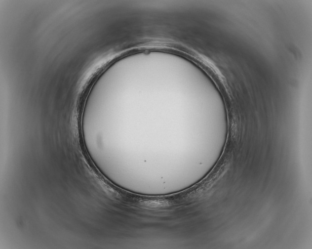 X0000112931464200909211104