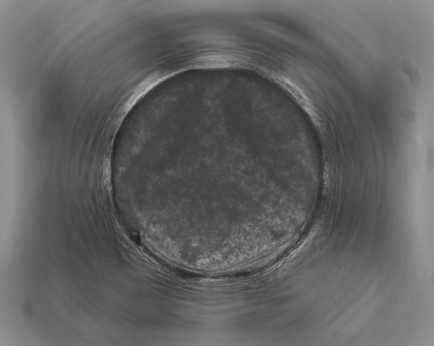 X0000112931465200909211104