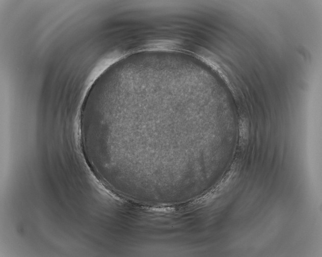X0000112931466200909211104