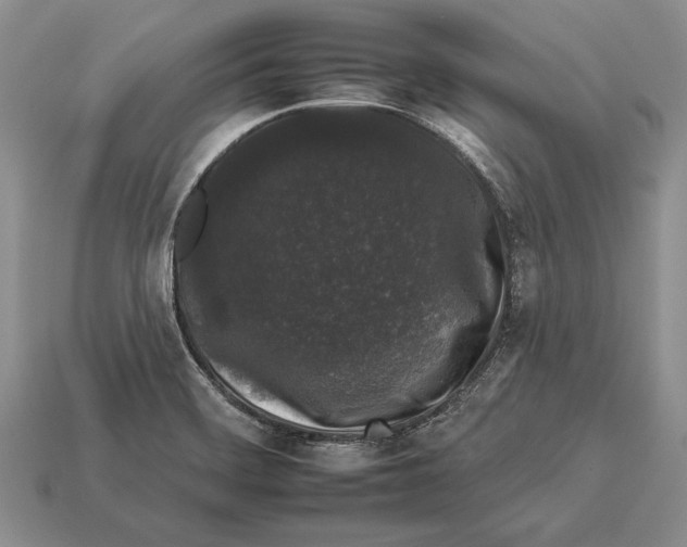 X0000112931468200909211104