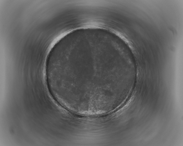 X0000112931469200909211104