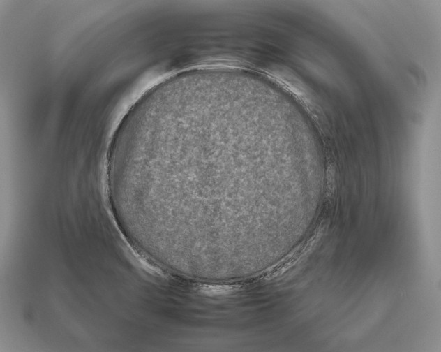 X0000112931470200909211104