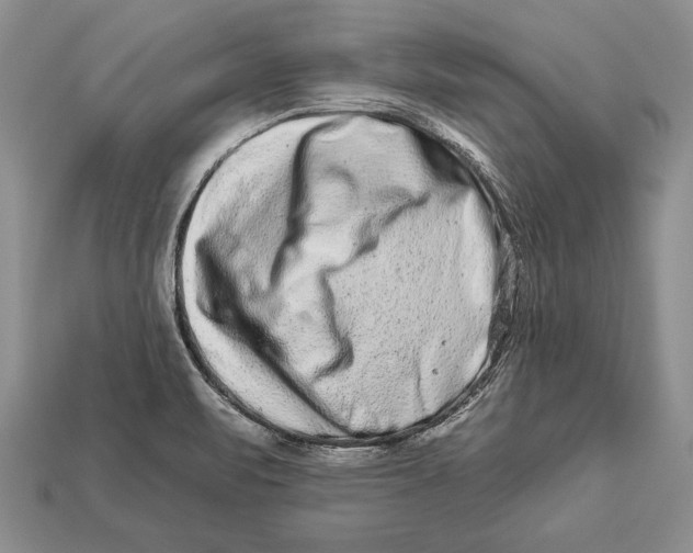 X0000112931471200909211104