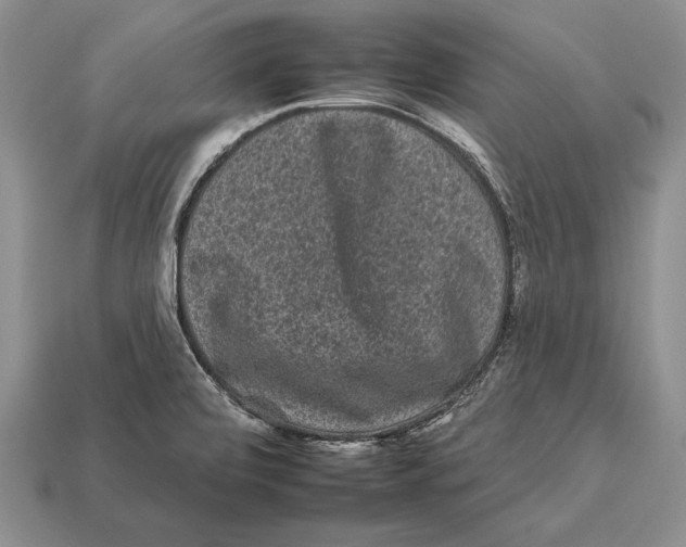 X0000112931472200909211104
