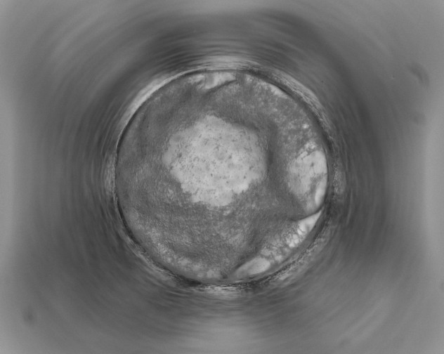X0000112931473200909211104