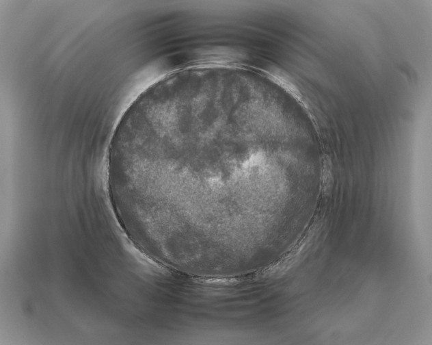X0000112931474200909211104