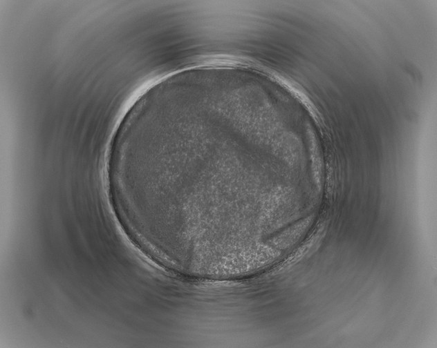 X0000112931475200909211104