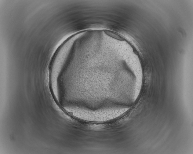 X0000112931476200909211104