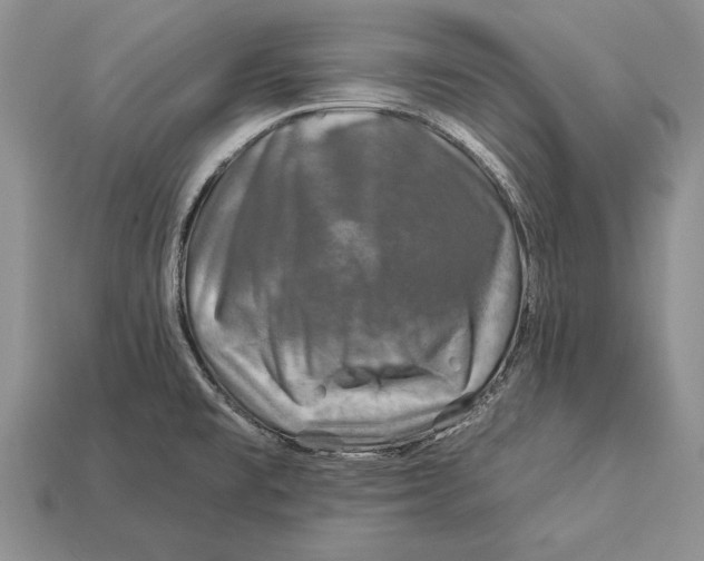 X0000112931477200909211104