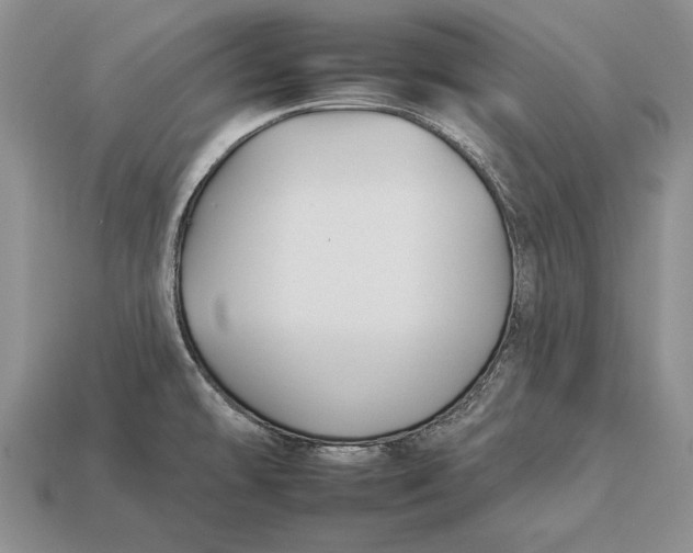 X0000112931478200909211104