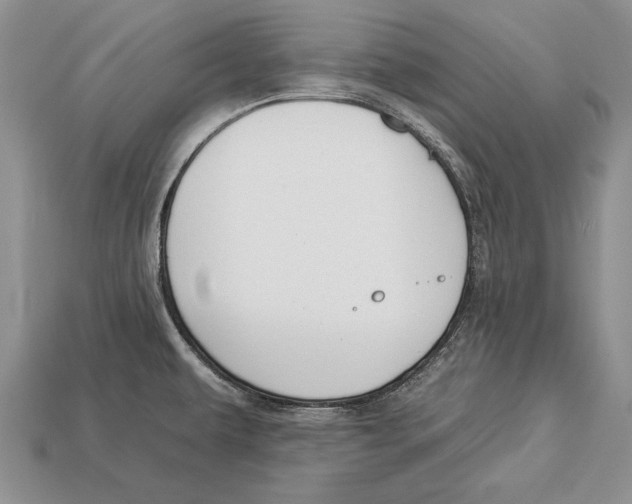 X0000112931479200909211104